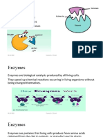 Enzymes: - Definition of Enzyme - Properties of Enzymes - Lock and Key Mechanism