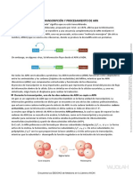 wuolah-free-TEMA 3 - TRANSCRIPCIÓN Y PROCESAMIENTO DE ARN