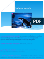 La Ballena Varada