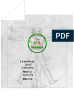 Anatomia Mapas Mentales