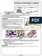 Exercices Tissu Nerveux 2022