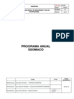 E.2.3.4 Programa Anual de Seguridad y Salud