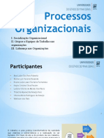 Processos Organizacionais