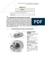 Paulo Freire - Nivel I - Semana 3 - 4