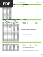 Ejercicio Presupuesto de Capital