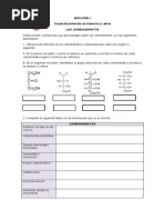 Hoja de Trabajo Los Carbohidratos