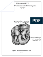 Morfología Dental