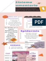 Sistema Tegumentario