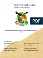 Exposicion Principios Universitarios