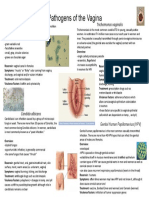 Pathogens of The Vagina-Annie Espinosa