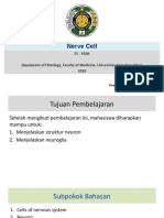 Nerve Cell: Zy - Erds Depatment of Histology, Faculty of Medicine, Universitas Sumatera Utara 2020