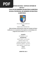 Trabajo de Investigacion - Efectos de La Fermentacion Acetica Vinagre de Cascara de Piña