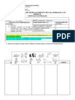 2â° Estructura de Desplazamiento de Los