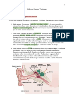 Oído y El Sistema Vestibular