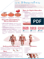 AF-Guía #2 - Punto 2