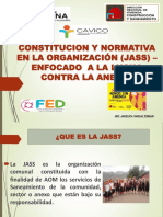 Constitucion y Normativa en La Organizacion Jass