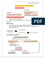 3ER PARCIAL Patologia