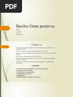 Bacilos Gram Positivos