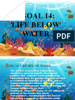 Goal 14 Below Water