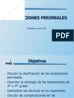 N - Laceraciones Perineales