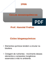 Ciclos Biogeoquimicos