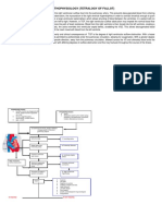 TOF (Pathophysiology)