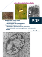 T2 - Cromatina, Cromosomas y 1ra Ley Mendel 2015