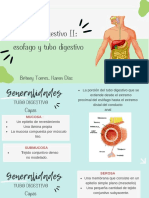 Sistema Digestivo II Esófago y Tubo Digestivo