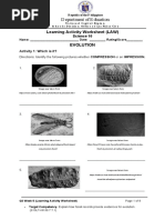 Department of Education: Learning Activity Worksheet (LAW) Evolution