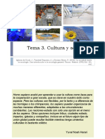 Tema 3. Cultura y Sociedad