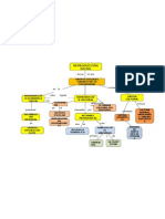 Mapa Conceptual de Fundamentos de Bourdieu