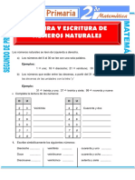 Lectura Escritura Numeros Naturales Segundo Primaria