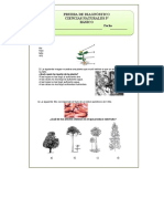 3º Basico Ciencias Naturales Prueba Final 1