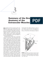 87 - CH 3 - Summary of The Gross Anatomy of The Extra Ocular Muscles, P. 38-51