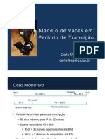 Manejo Período de Transição