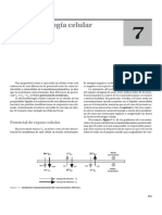 Lectura Semanas 7 y 8 - Potencial Eléctrico de La Membrana y Potencial de Acción