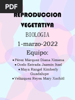 Reproduccion Vegetativa-Biologia