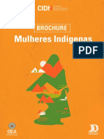 Direitos Humanos Das Mulheres Indigenas America 2017 CIDH