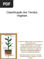 Classificação Dos Tecidos Vegetais