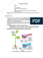 7.transport in Plants Notes