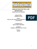 Ensayo de Violencia Familiar Causas y Conceptos