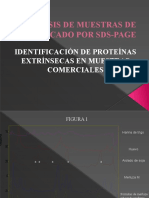 Análisis de Muestras de Pescado Por Sds-Page