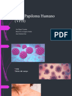 Virus Papiloma Humano