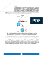 10.06 Prokaryotic Translation