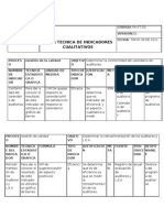 Ficha Tecnica de Indicadores Cualitativosdocx