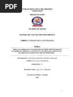 PDF Documento