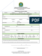 Anexo Iv - Atuacao Profissional Na PJ