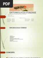 ENTOMOLOGIA FORENSE Slides