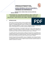 TDR Informe de Analisis de Riesgo