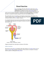 Renal Function